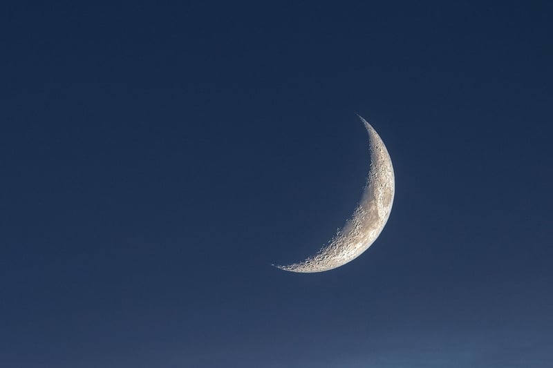 Moon Phase Wall Art